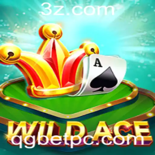 Desvendando o Jogo WildAce: Descrição, Introdução e Regras